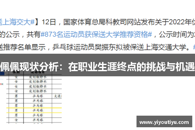 佩佩现状分析：在职业生涯终点的挑战与机遇